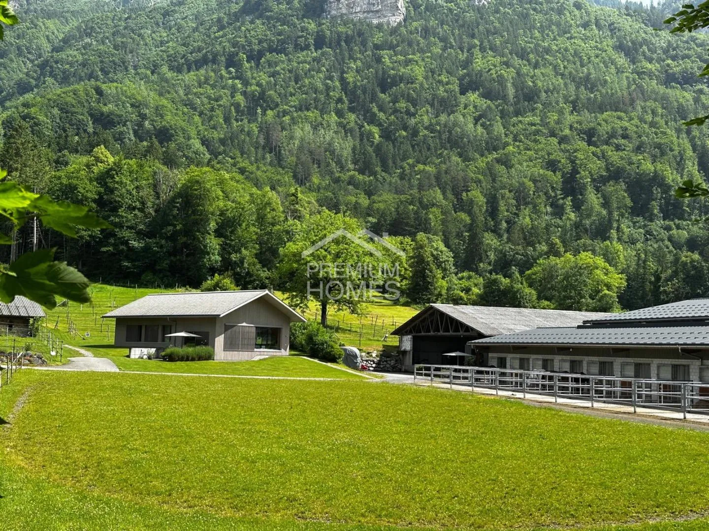 A Home for Humans and Animals in Brienzwiler - Photo 1 of 8