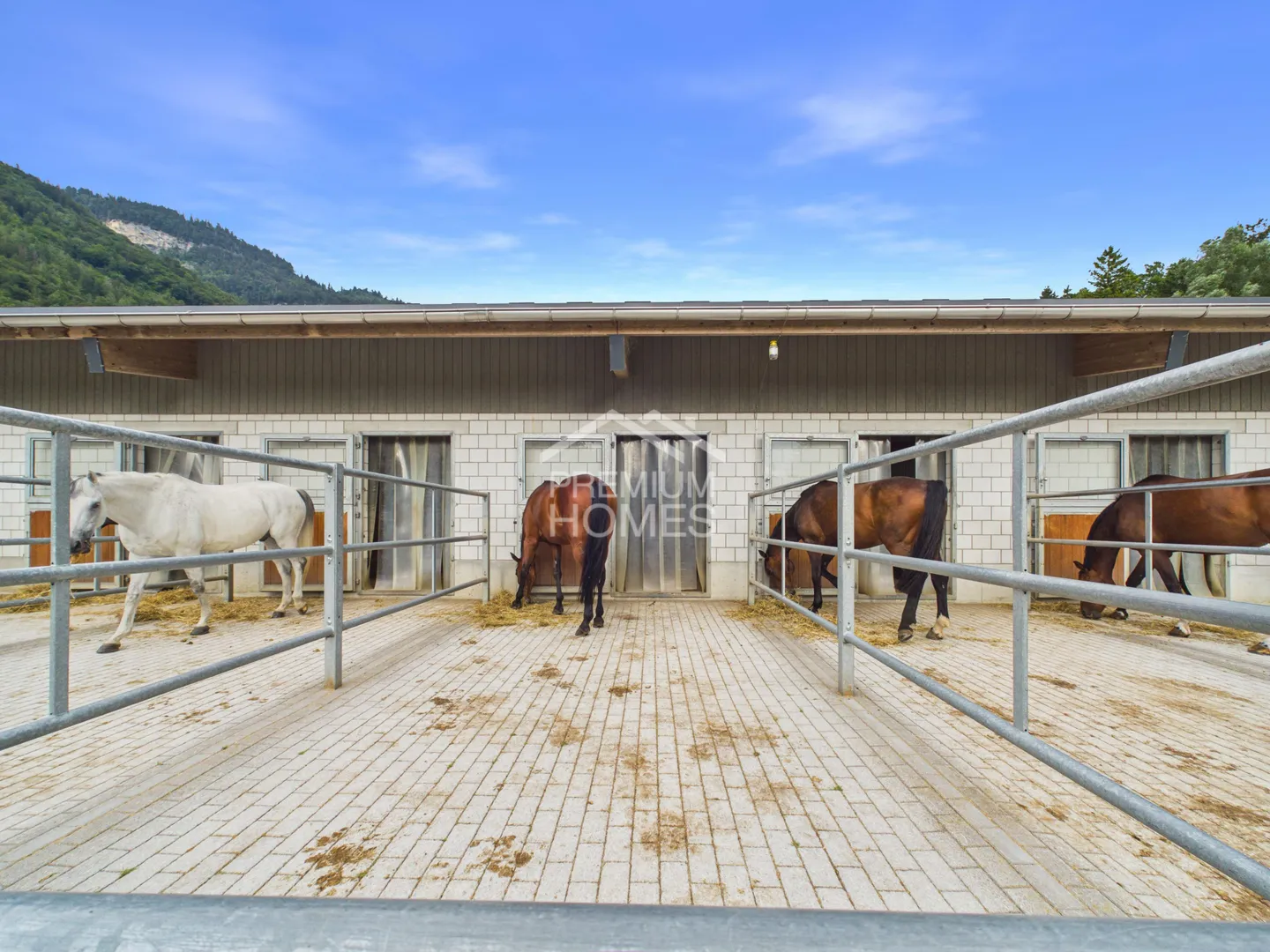 Professionelle Reitanlage - Foto 10 von 13
