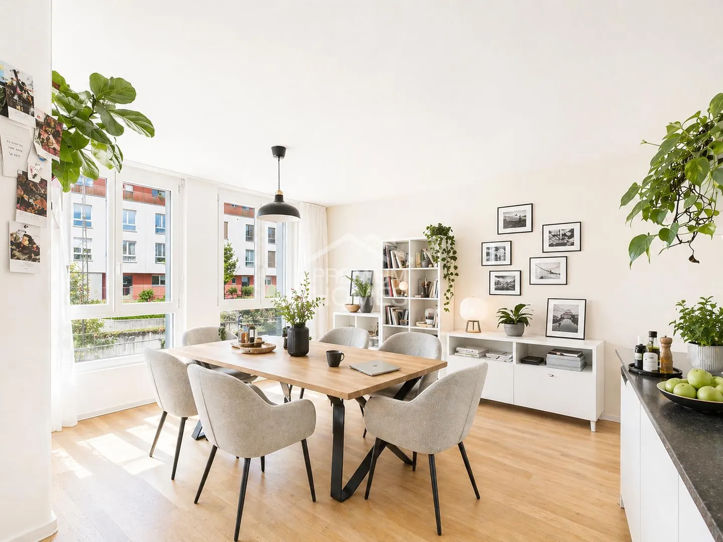 Treasure, we have arrived!!! - Photo 3 of 13