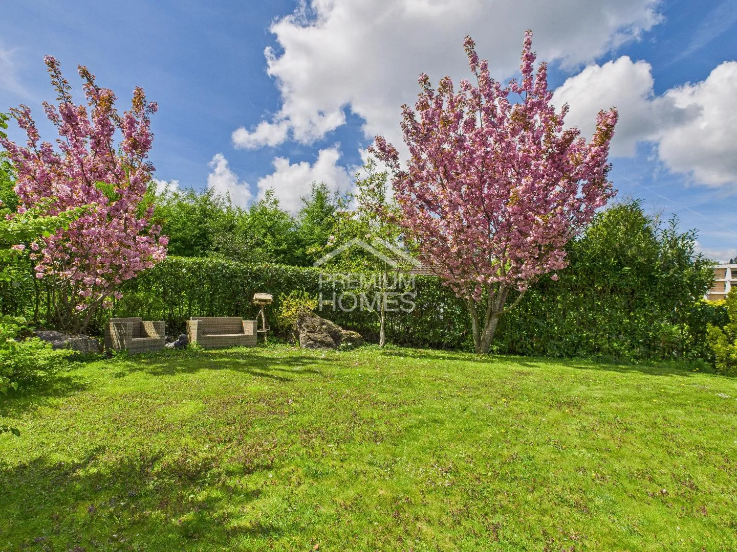 IDYLLIC AND YET CENTRAL - MY LIVING OASIS - Photo 8 of 8