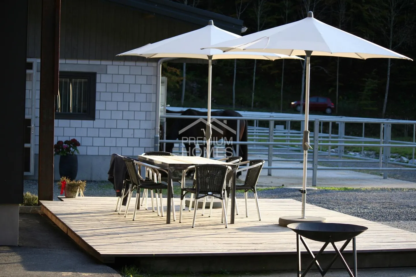 A Home for Humans and Animals in Brienzwiler - Photo 7 of 8