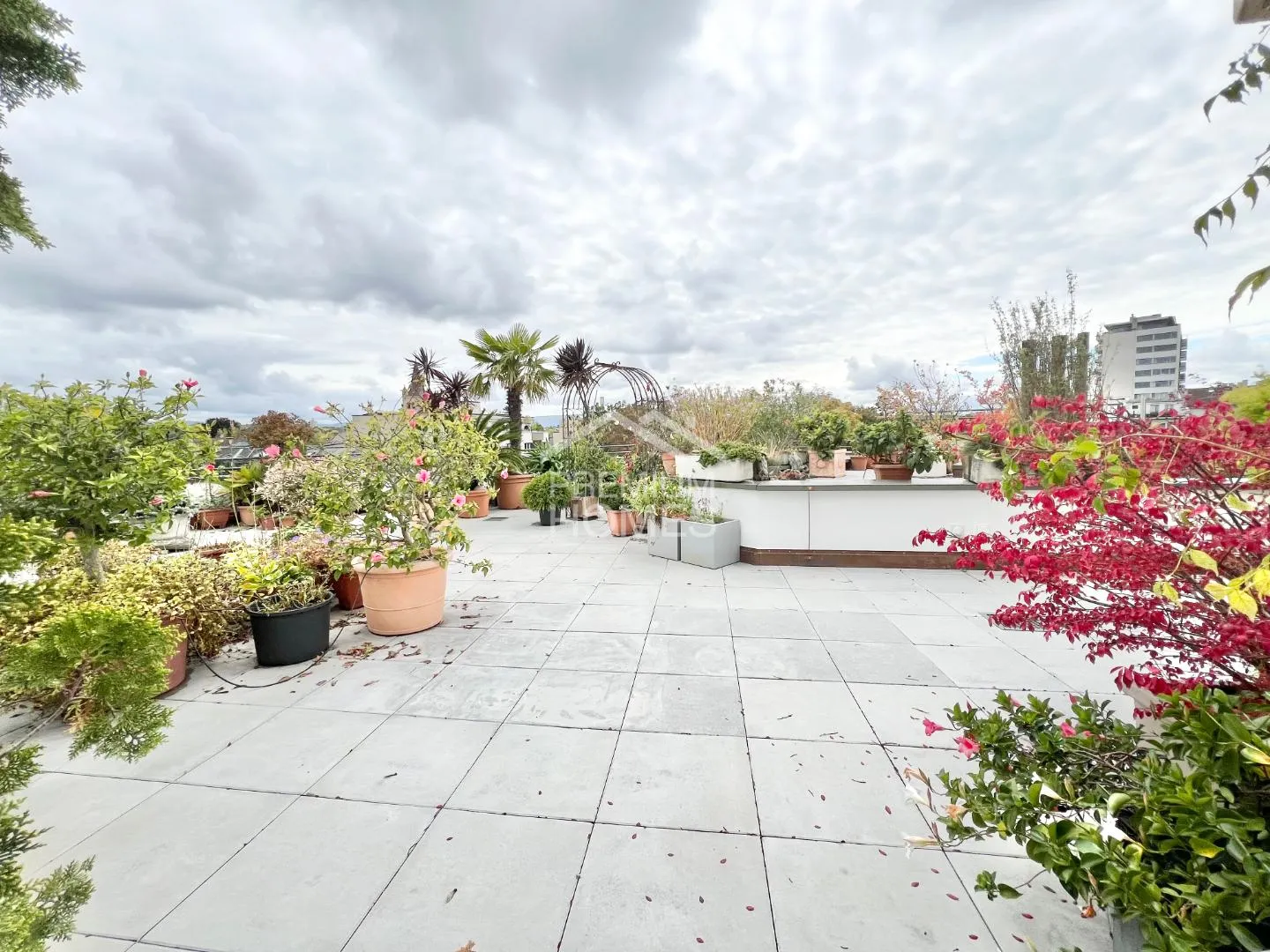 Living in the Center of Basel - Photo 5 of 6