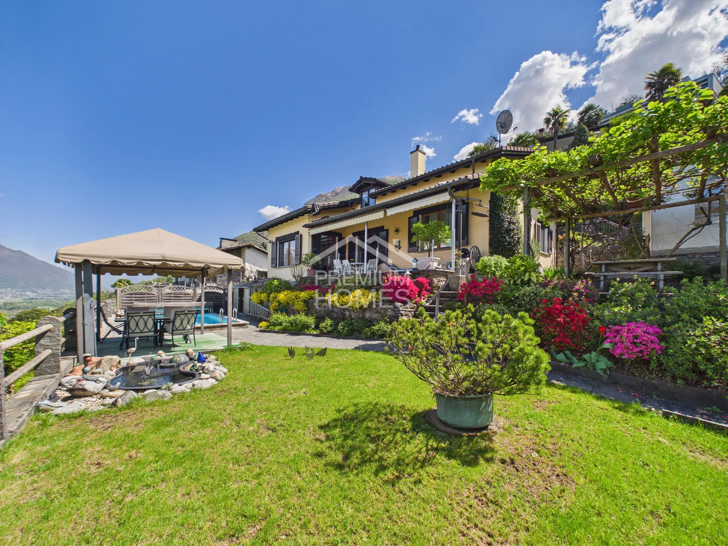 Les rêves deviennent réalité - Photo 1 sur 13