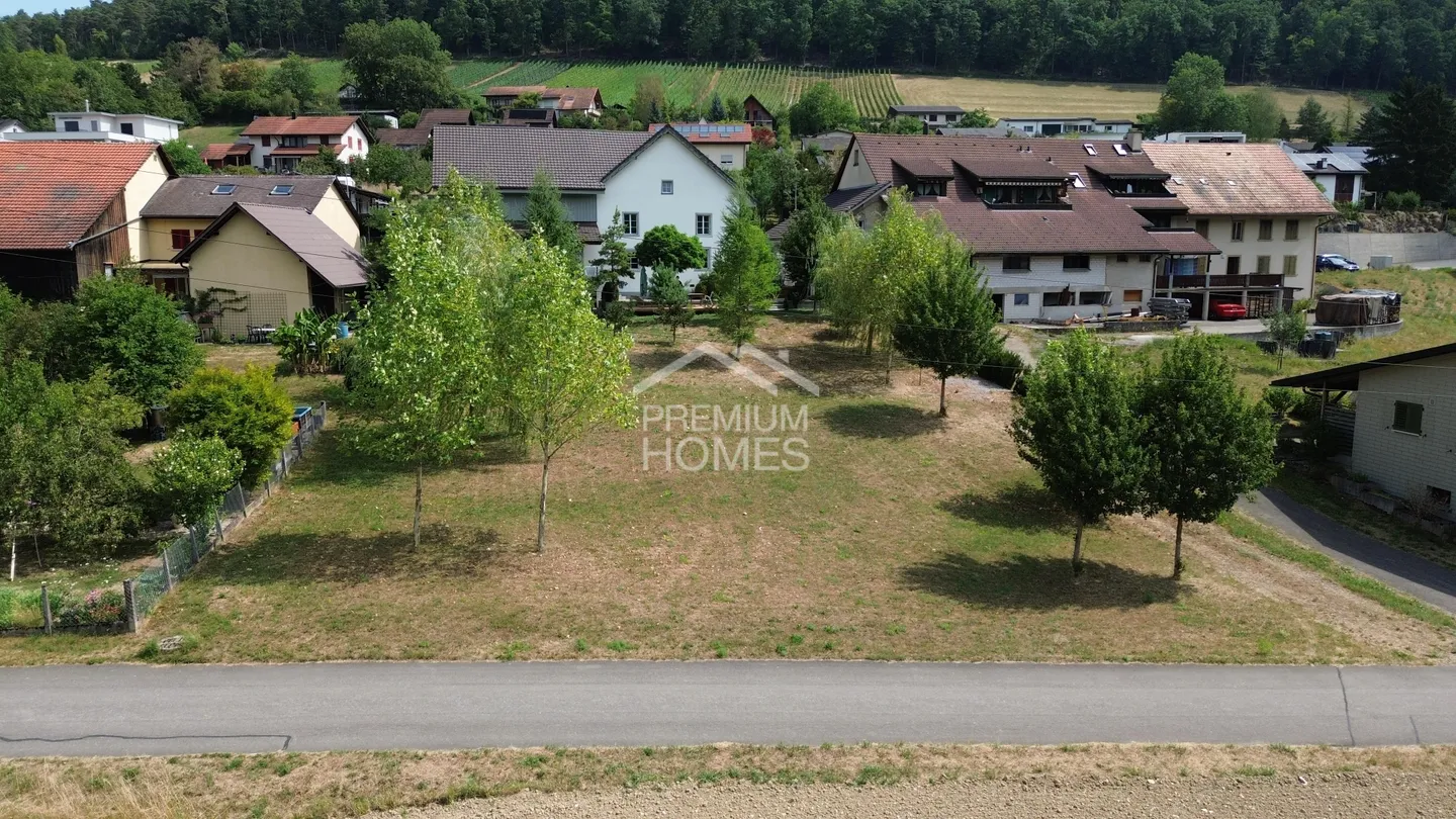 Eine Gelegenheit, die selten geworden ist - Photo 3 sur 8