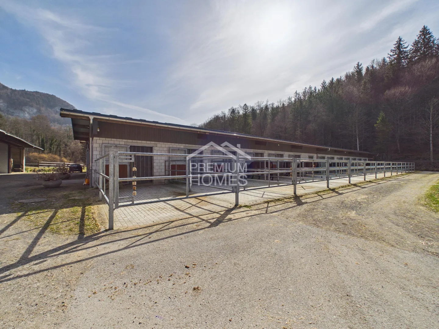 Equestrian Sports at the Highest Level - A Paradise for Horses and Riders! - Photo 9 of 13