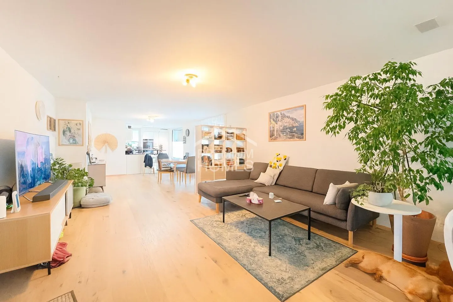 More than living? A way of life - Photo 12 of 12