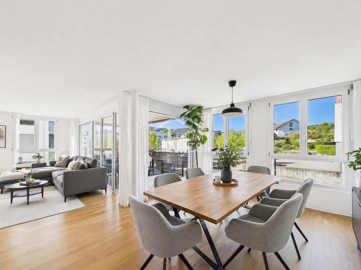 Treasure, we have arrived!!! - Photo 4 of 13