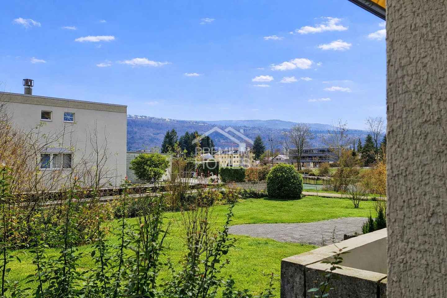 Nature pure au bord de l'Aare - Photo 6 sur 7