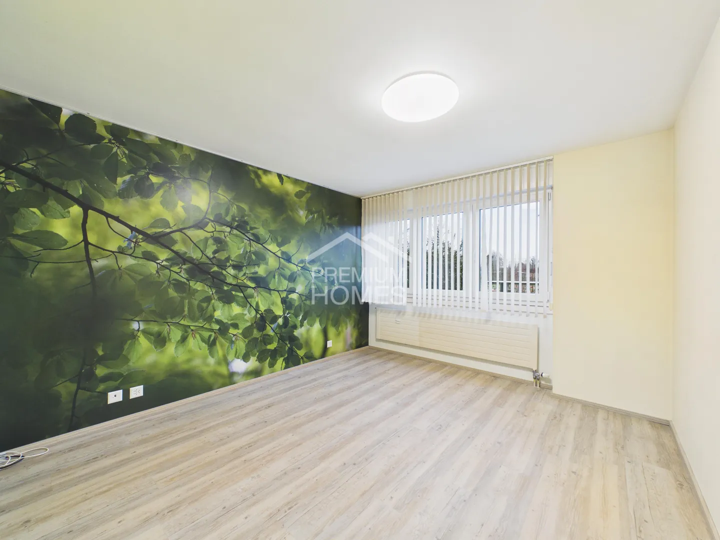 Nature pure au bord de l'Aare - Photo 4 sur 7