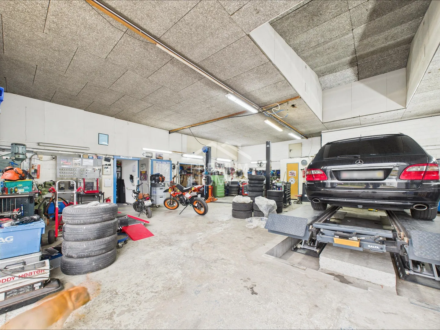 Pensa in grande - Casa unifamiliare con laboratorio, molto terreno e potenziale - Foto 5 di 9