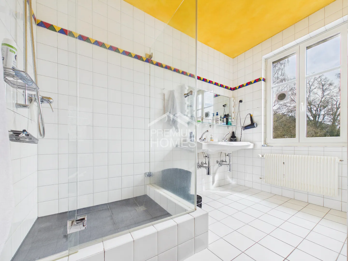 Proprietà d'investimento unica - Foto 8 di 13