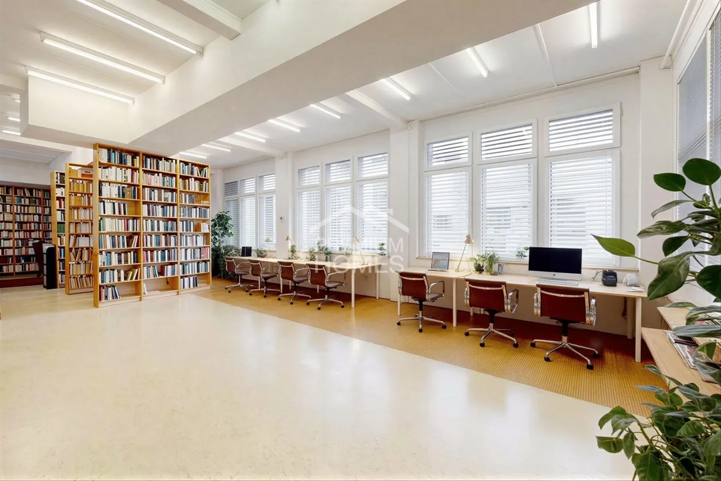 Mixed-use building with attic & studios - Photo 6 of 11