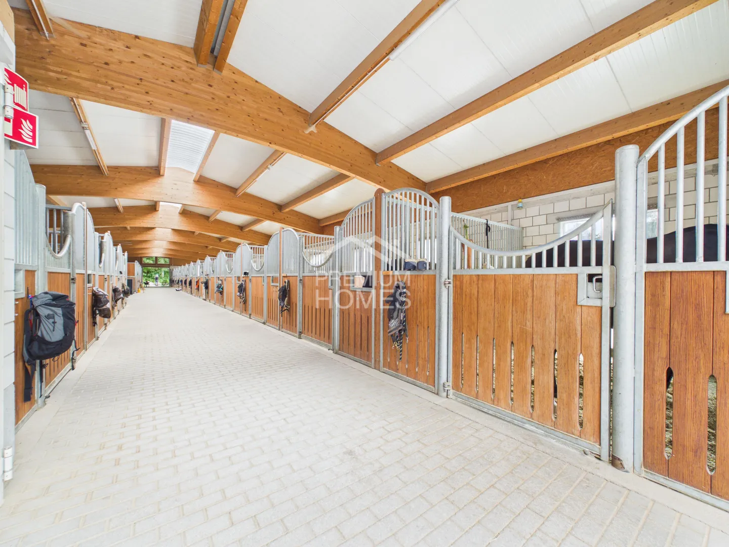 Professionelle Reitanlage - Foto 3 von 13