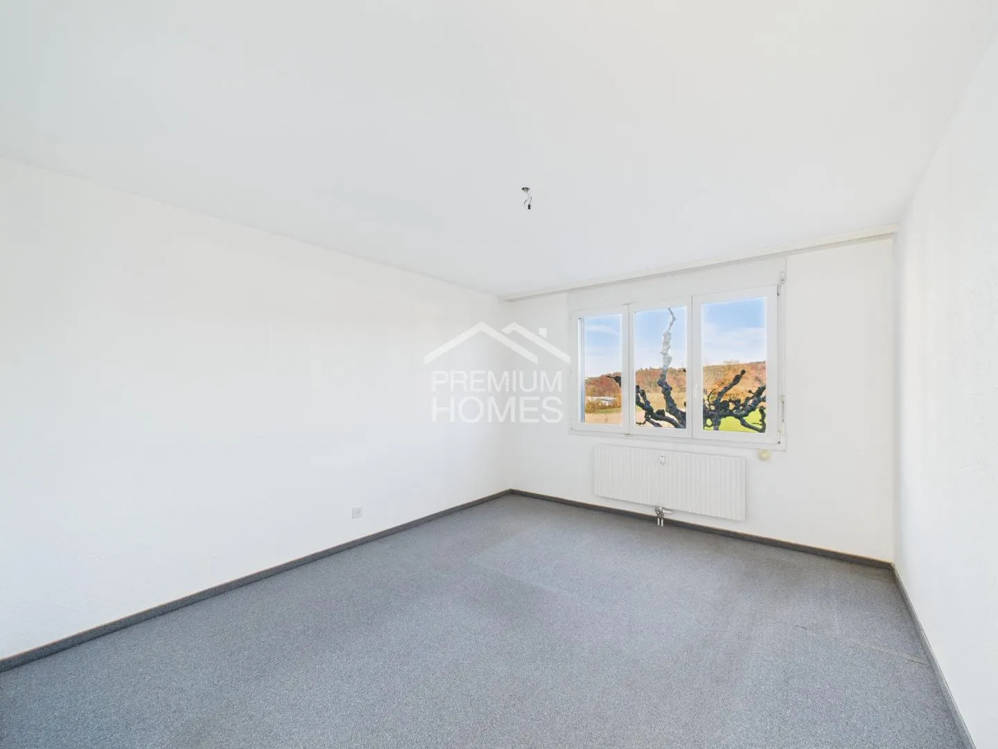 Eigenheim zum Spitzenpreis - Jetzt zuschlagen! - Foto 4 von 6