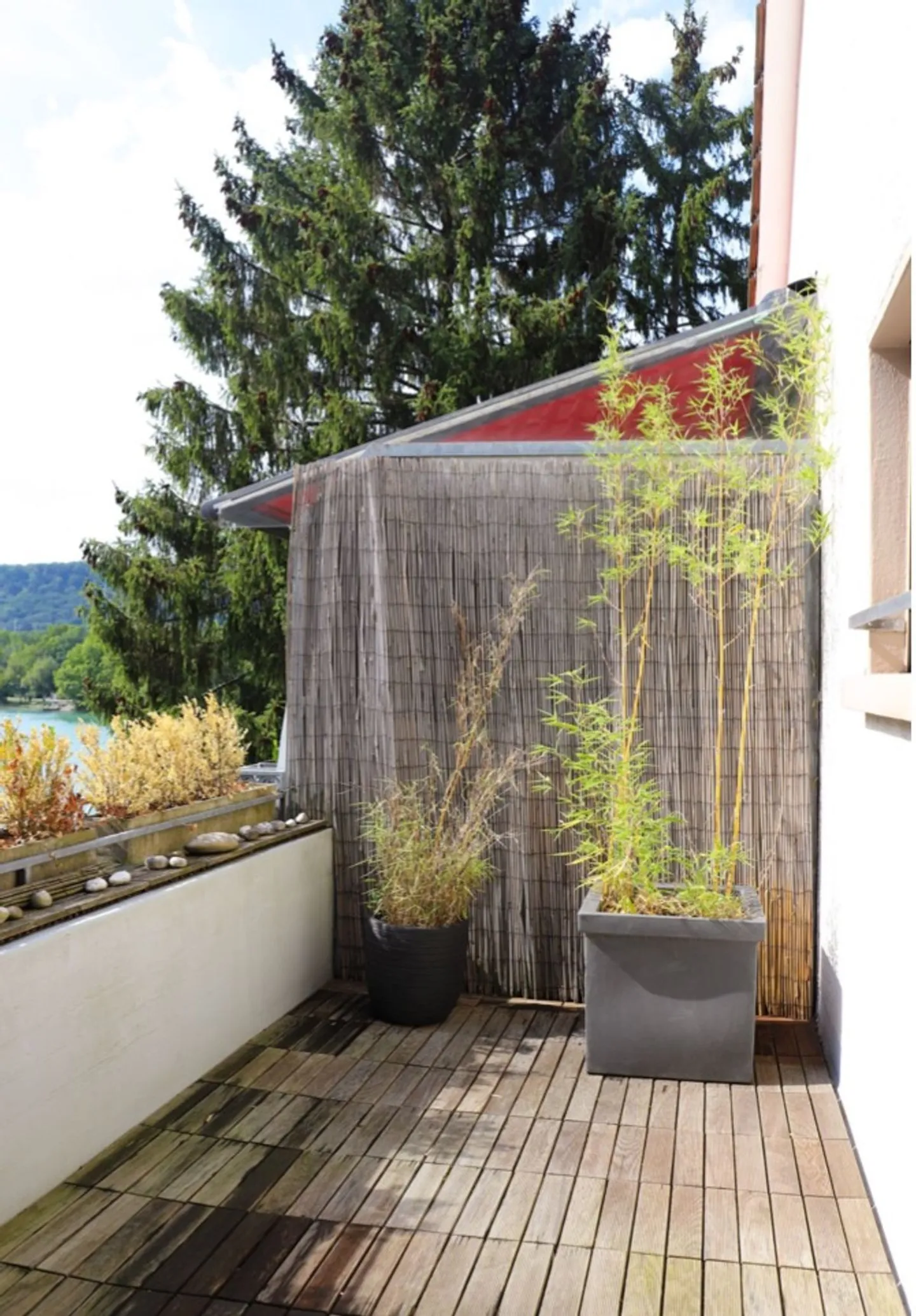 Charmantes Duplex am Rhein - Foto 4 von 13