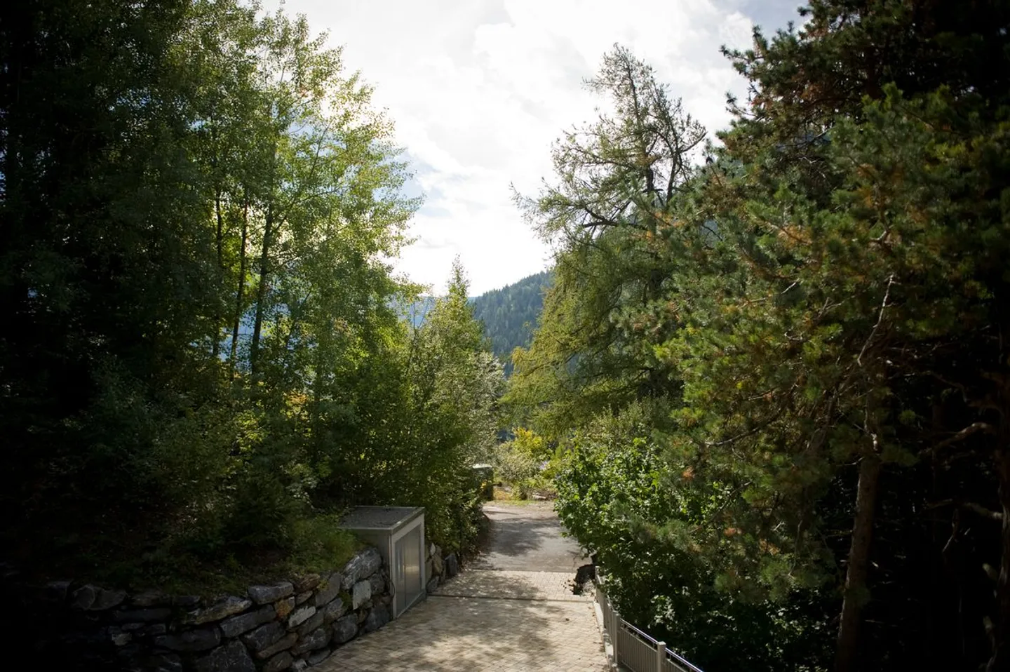 Chalet eccezionale nel cuore di Ovronnaz, in un contesto naturale unico - Foto 4 di 4