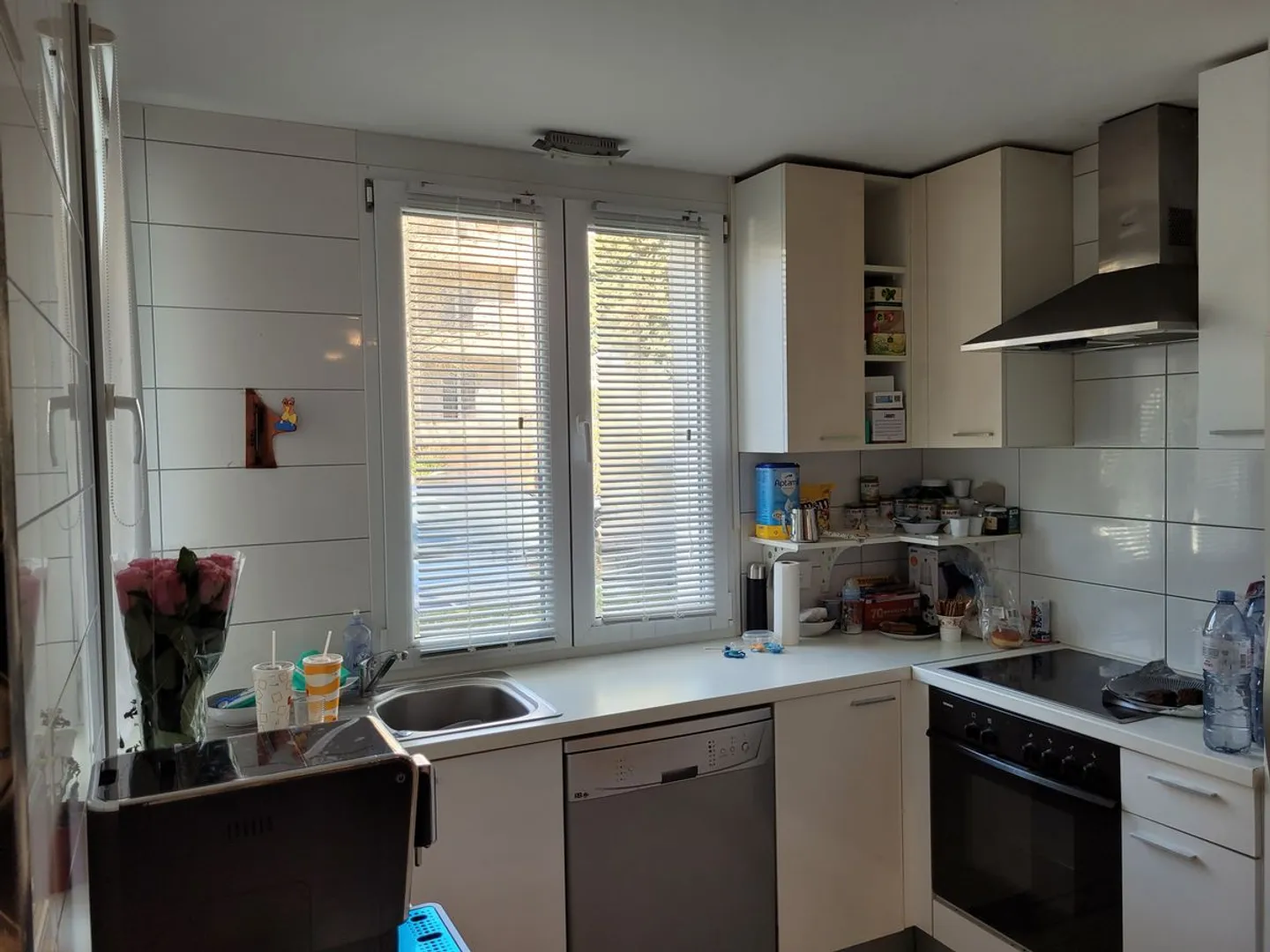 Charming Apartment with Garden - Photo 6 of 9