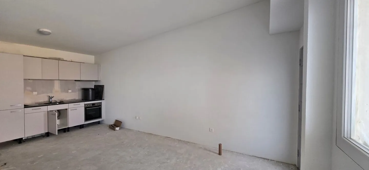 Comfortable 1-room apartment in the heart of Arbon - Photo 4 of 6