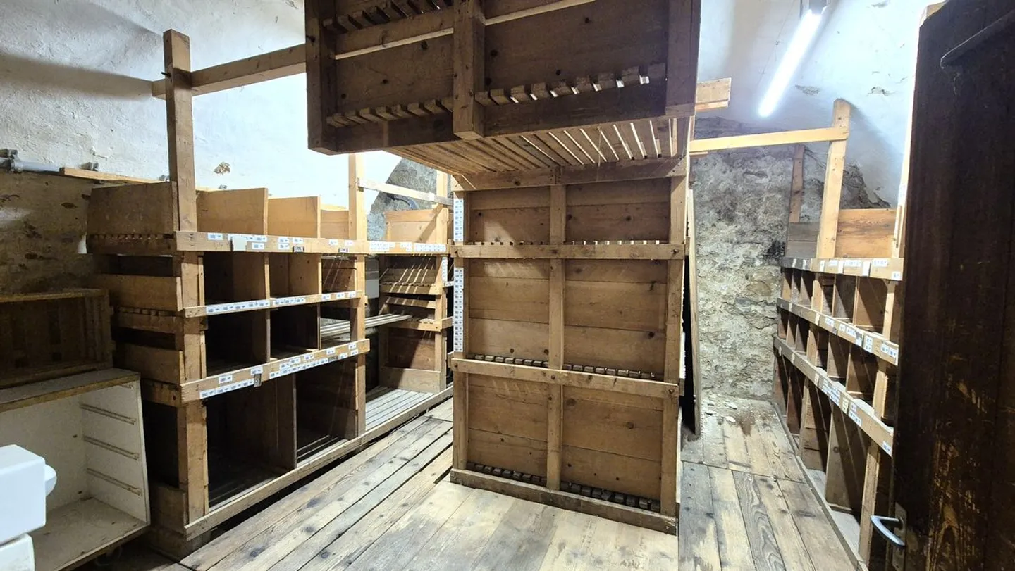 Repräsentative Gastronomieimmobilie mit Eventsaal und Terrasse in Rheinlage - Foto 11 von 13