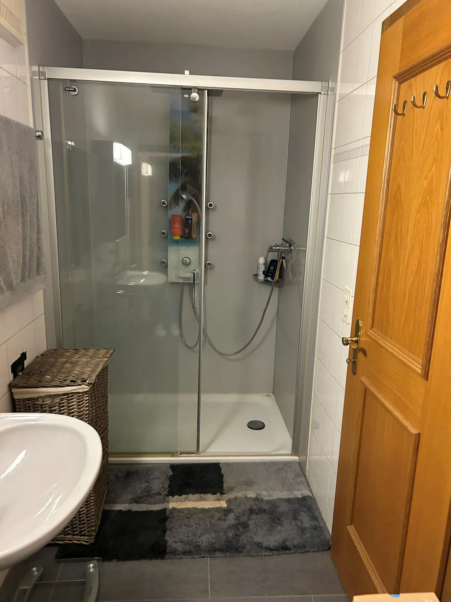 Furnished 3.5 Room Apartment with Stunning View - Photo 9 of 13