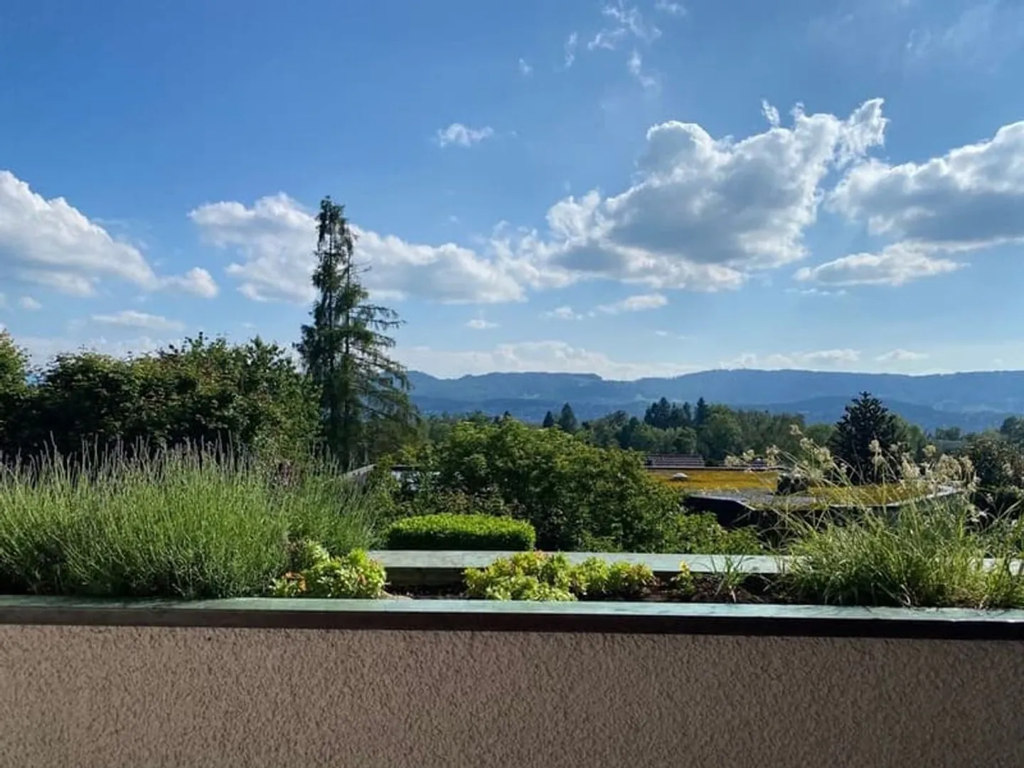 First rental after complete renovation 4.5 room apartment in a very good location - Photo 4 of 8