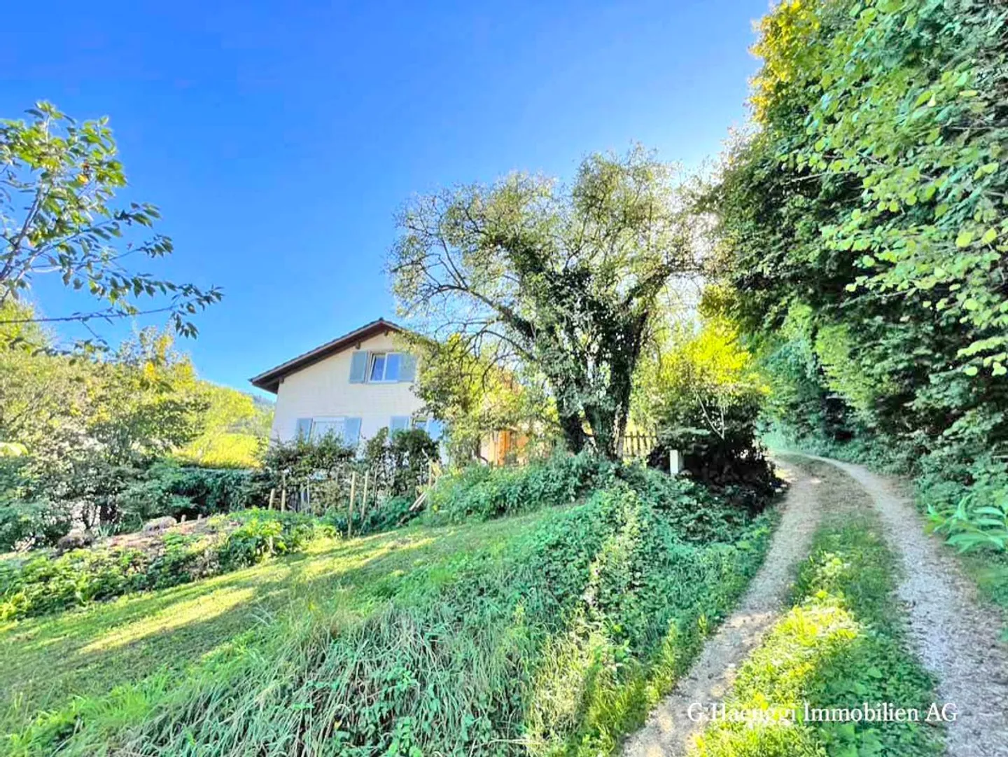Casa indipendente di 5,5 stanze con potenziale al confine della foresta - Foto 1 di 12