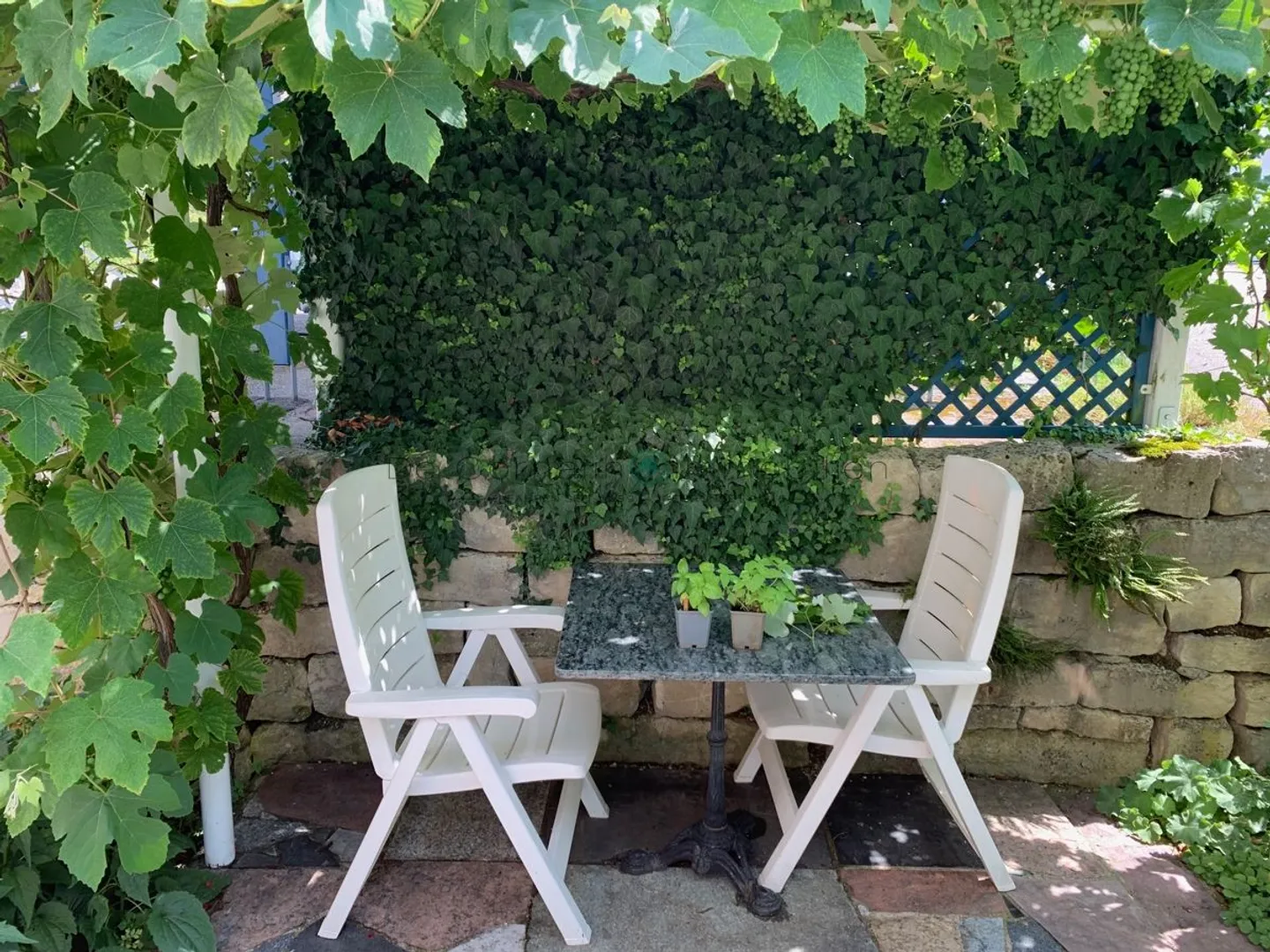 Wohnen im Grünen - Stadtnah - Freistehendes 6.5-Zimmer-Einfamilienhaus, Minergie, Ruhe &amp; Aussicht - Foto 12 von 13