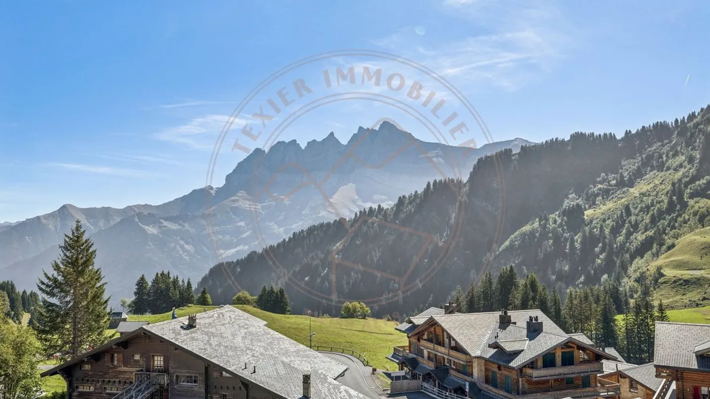 Large triplex with direct access to the slopes in Les Crosets - Photo 1 of 9