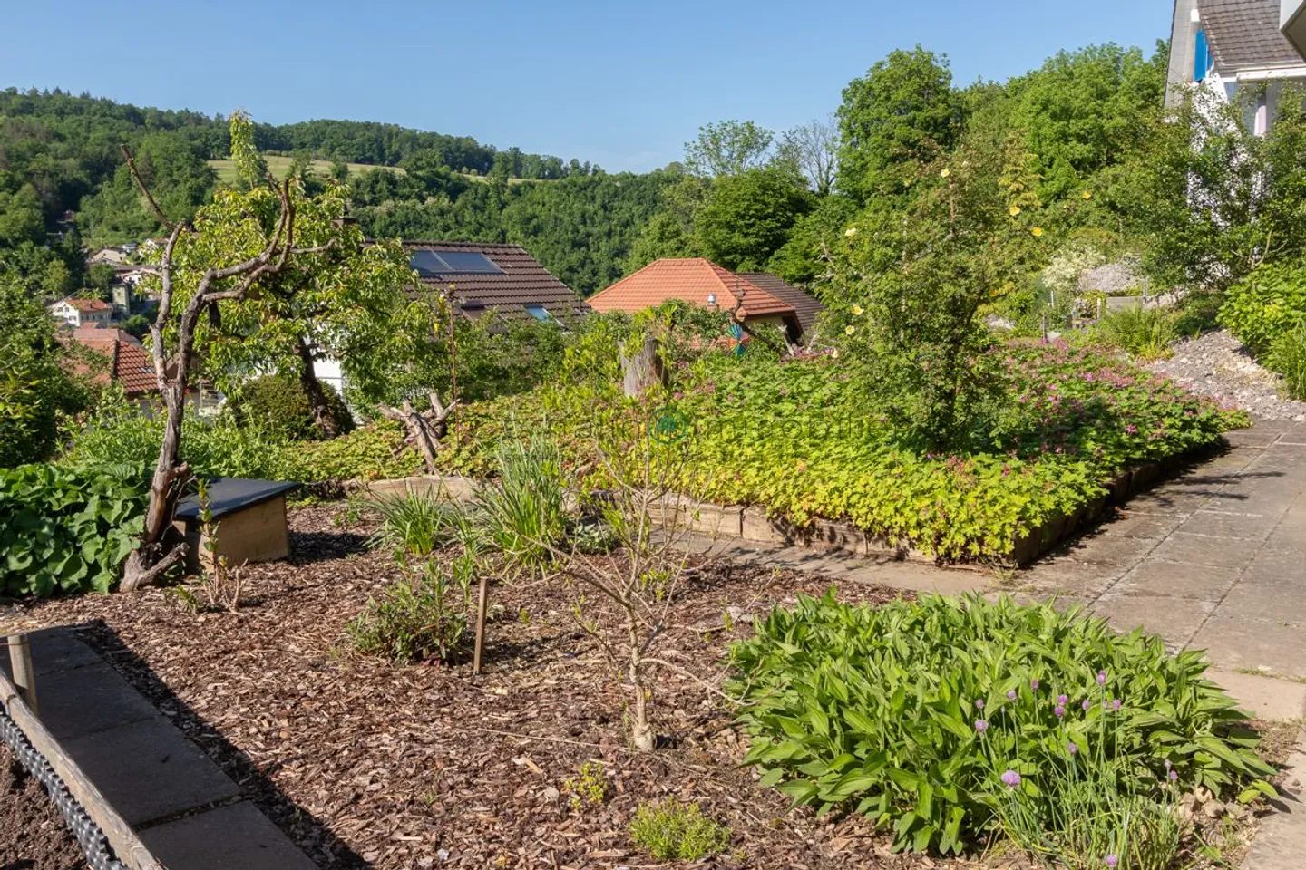 Wohnen im Grünen - Stadtnah - Freistehendes 6.5-Zimmer-Einfamilienhaus, Minergie, Ruhe &amp; Aussicht - Foto 11 von 13