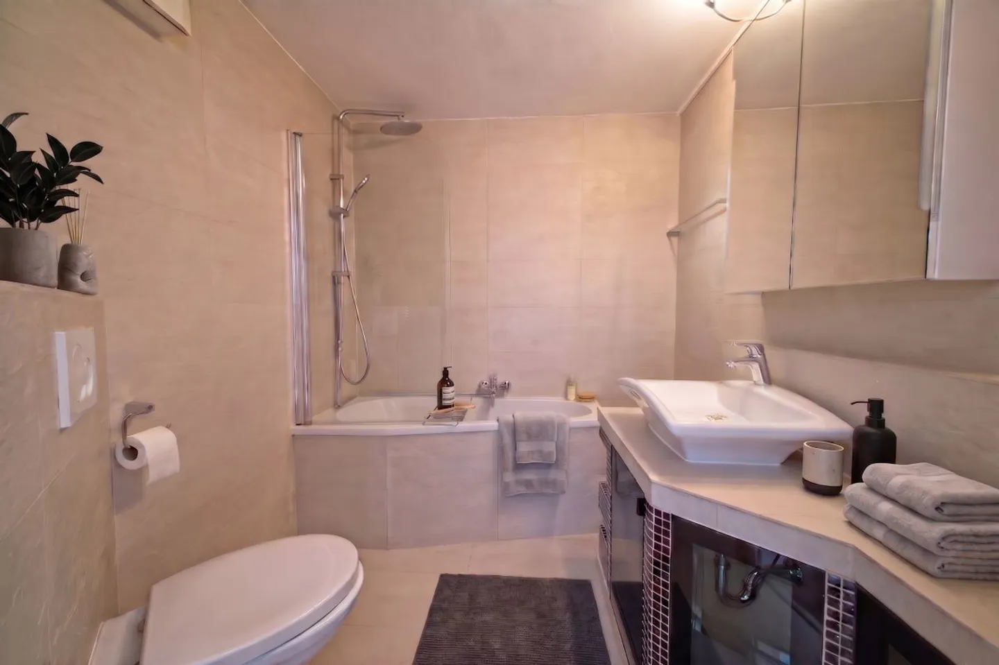 Arrive and feel at home with a view of Lake Zurich - Photo 7 of 8