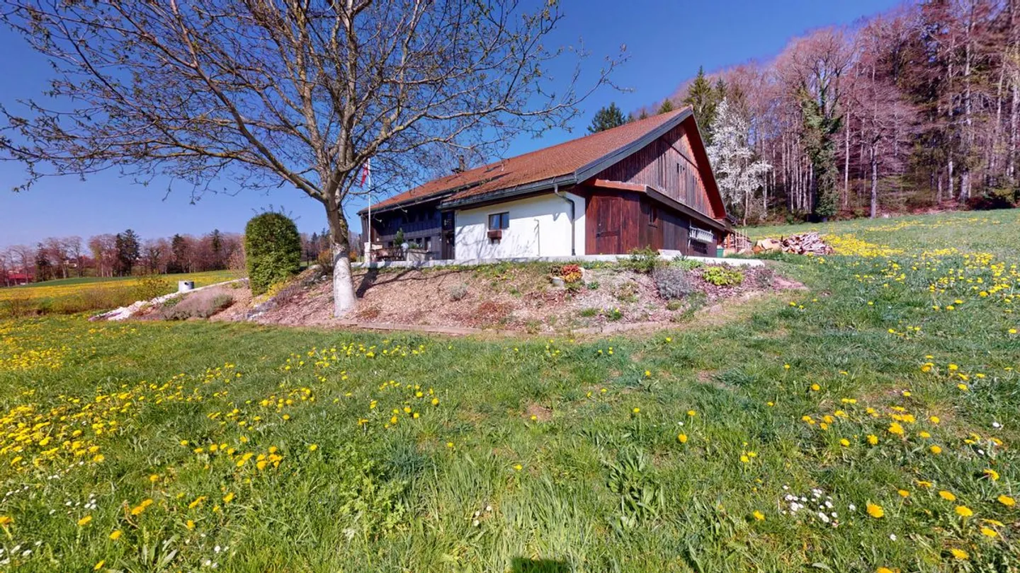 Charming Apartment with Terrace - Photo 1 of 3