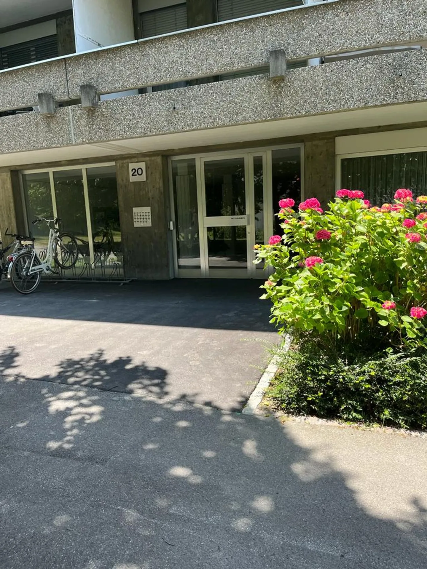 Appartamento 2 1/2 camere con terrazza giardino soleggiata - Foto 8 di 8