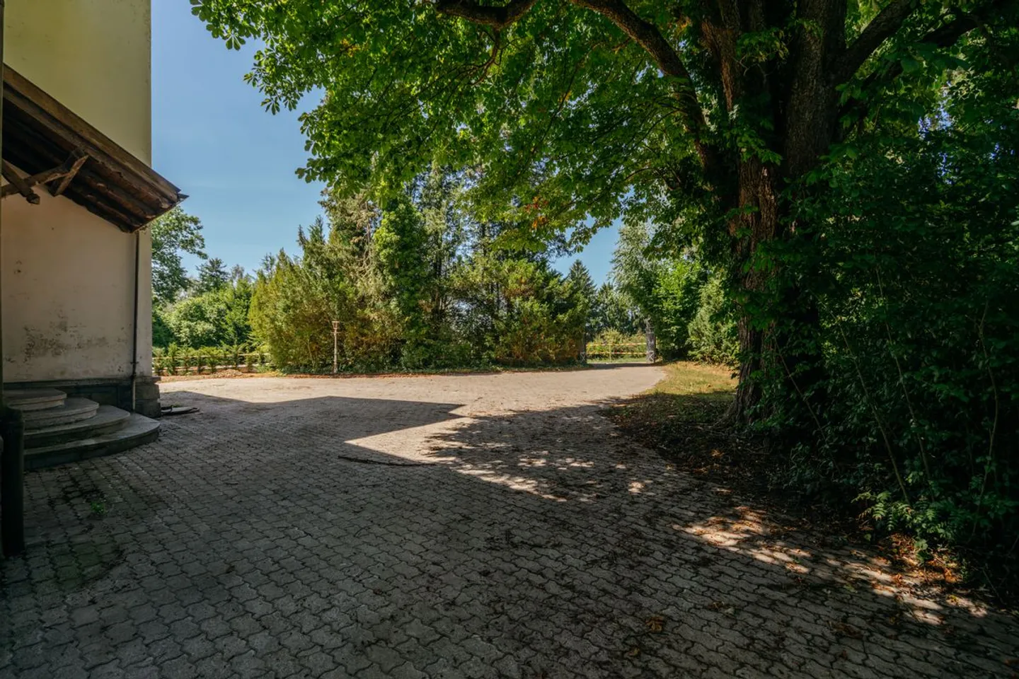 Villa Dreifuss - Where History Writes a New Chapter - Photo 3 of 13