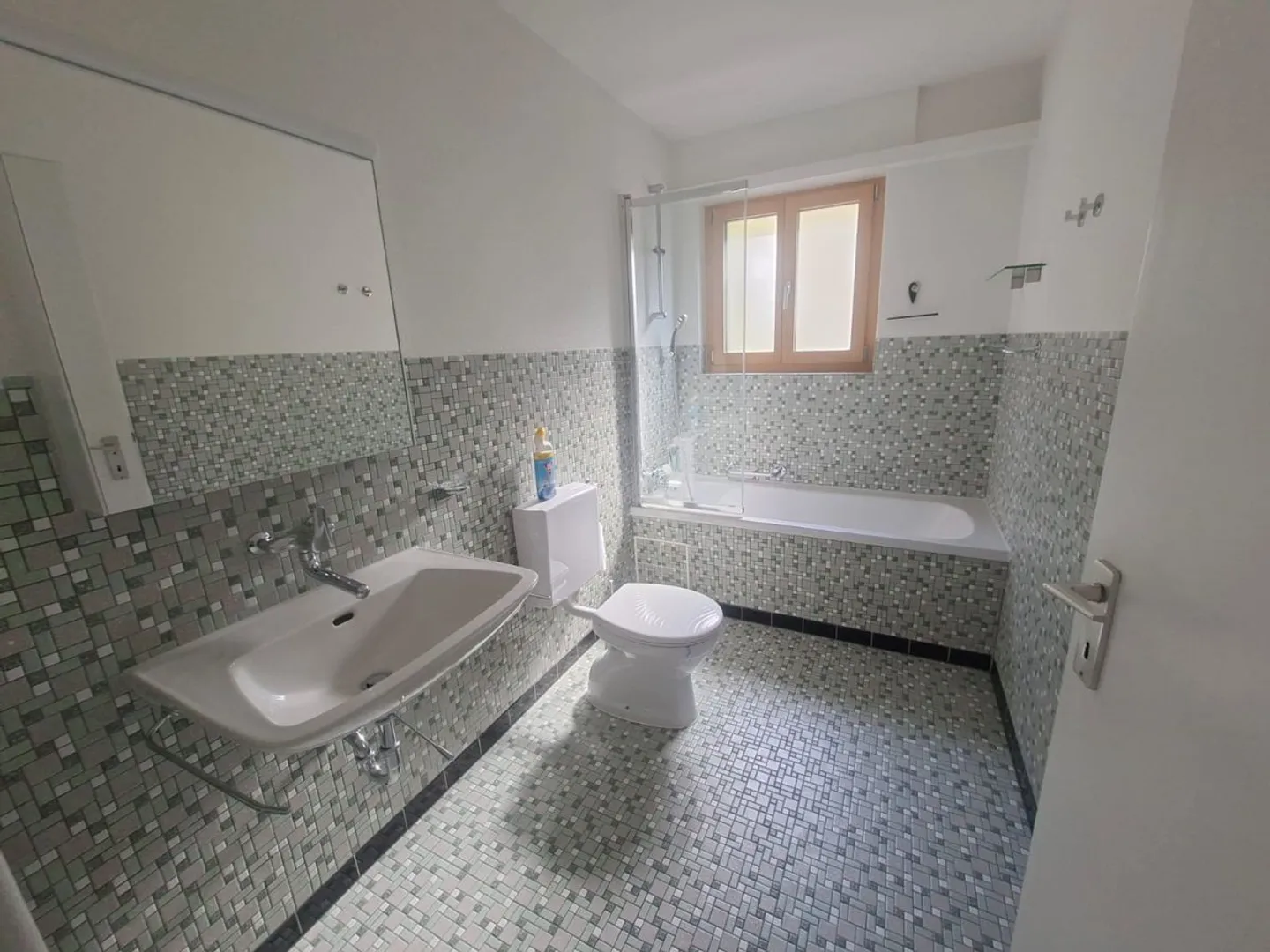 Geräumiges 5.5-Zimmer Einfamilienhaus mit Aussicht in Seewen - Photo 12 of 13