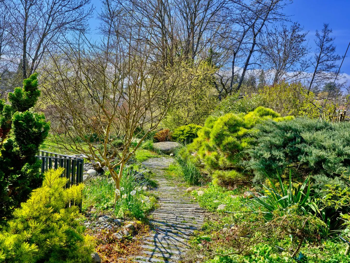 Very Beautiful Contemporary Town House with a wonderful Japanese garden - Photo 13 of 13
