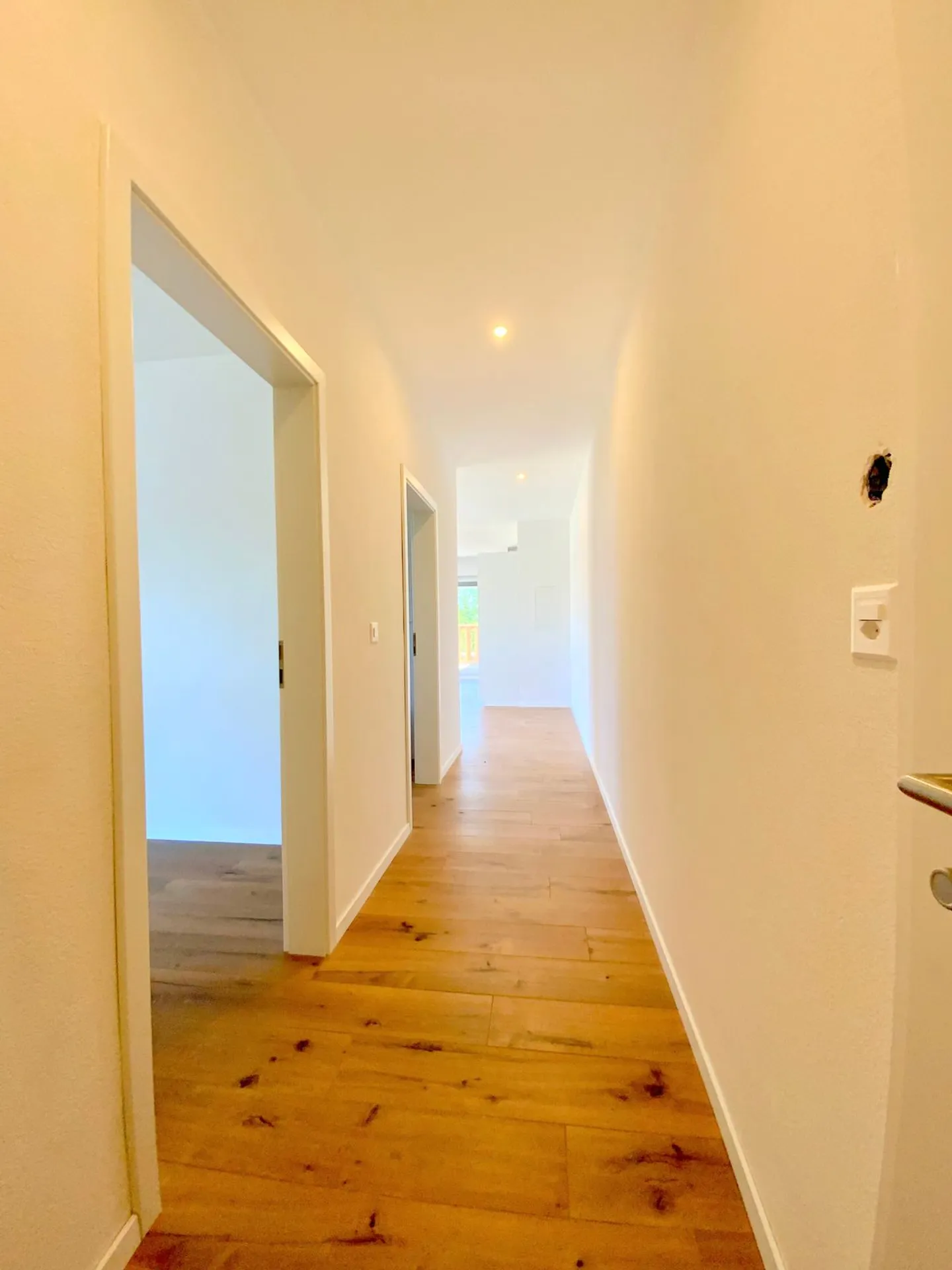 Domdidier 2,5 Zimmer mit Balkon! - Foto 3 von 6