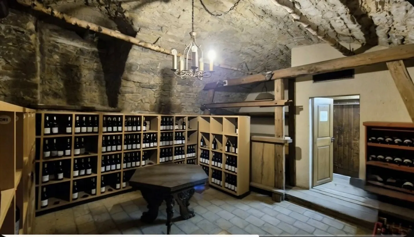 Repräsentative Gastronomieimmobilie mit Eventsaal und Terrasse in Rheinlage - Foto 10 von 13