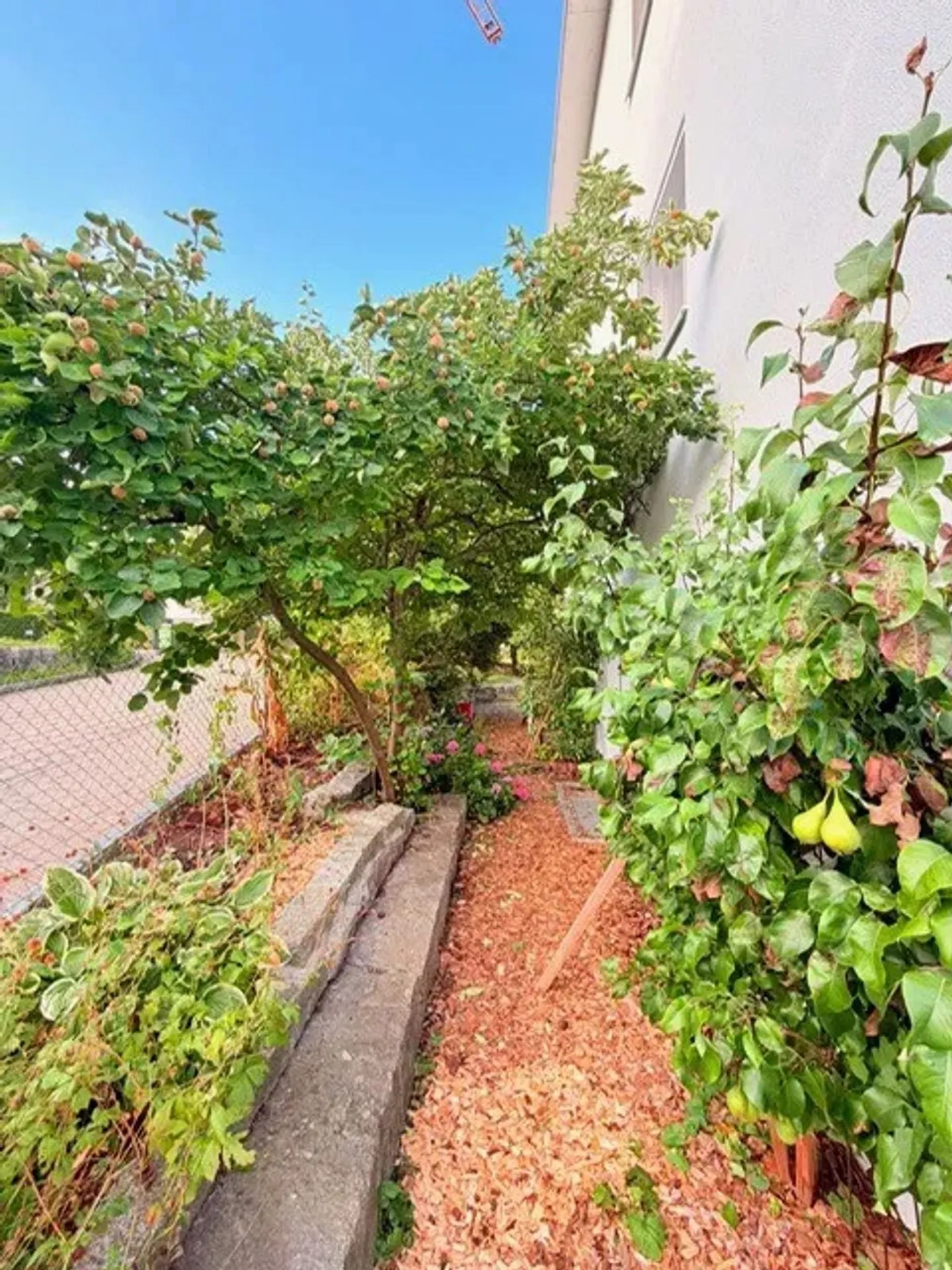 Maison de 7,5 pièces exceptionnellement spacieuse avec jardin orienté sud et 2ème étage polyvalent - Photo 7 sur 13