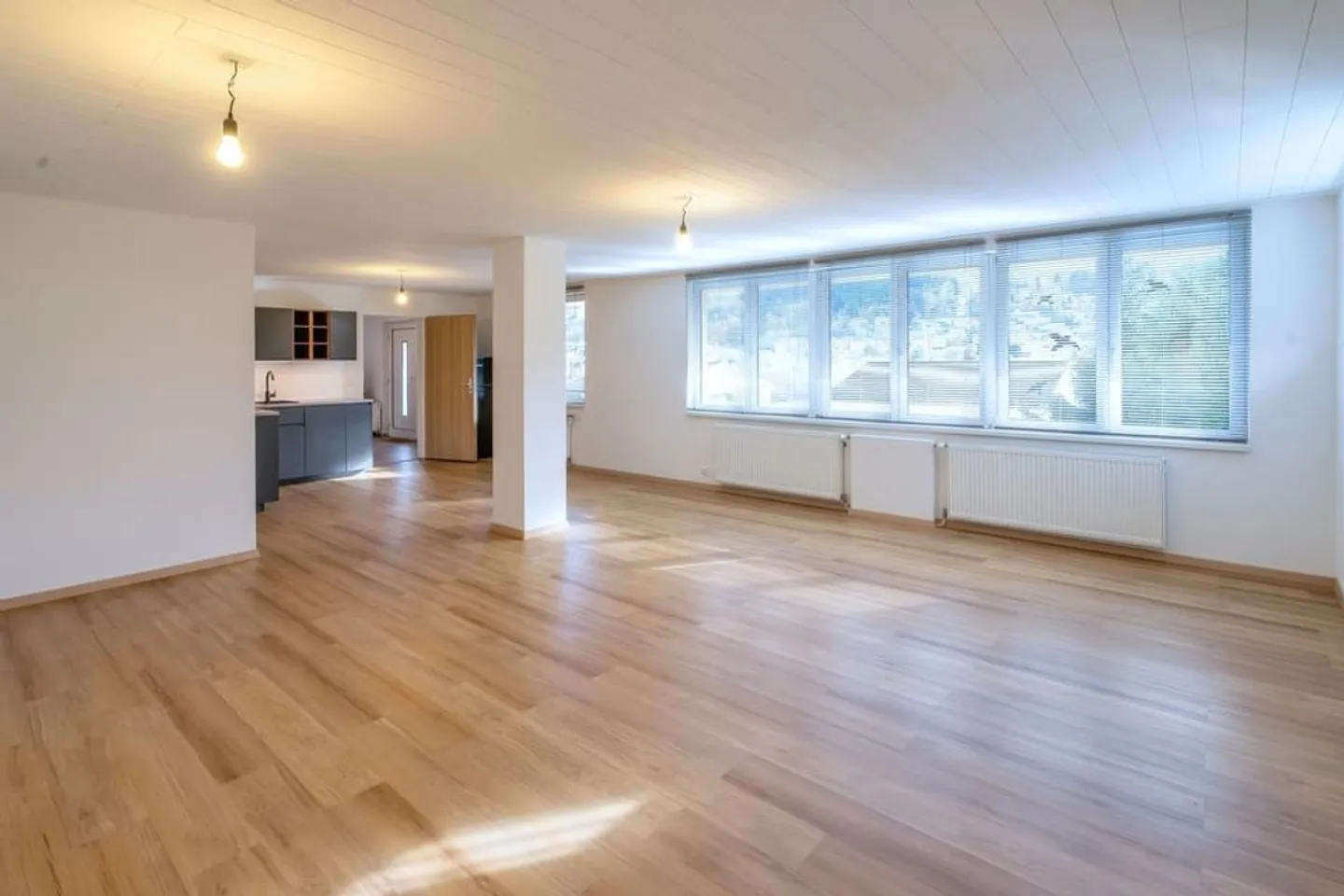 Attraktives 1.5-Zimmer Studio mit herrlichem Blick in Ebikon zur Miete - Foto 1 di 13