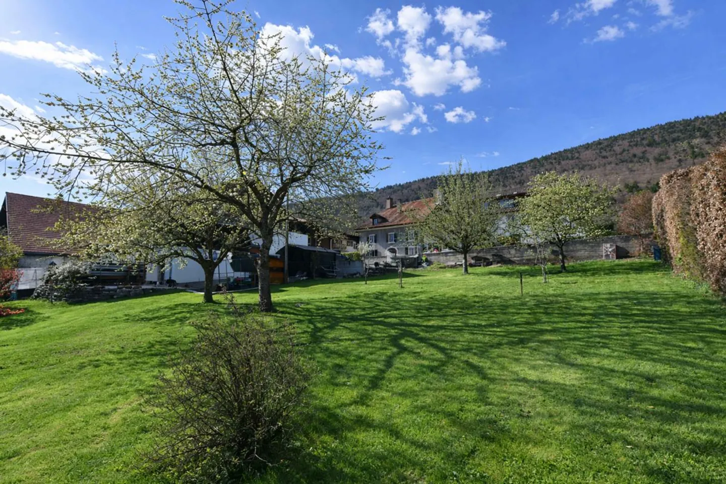 Wunderschönes Familienhaus - Foto 13 von 13