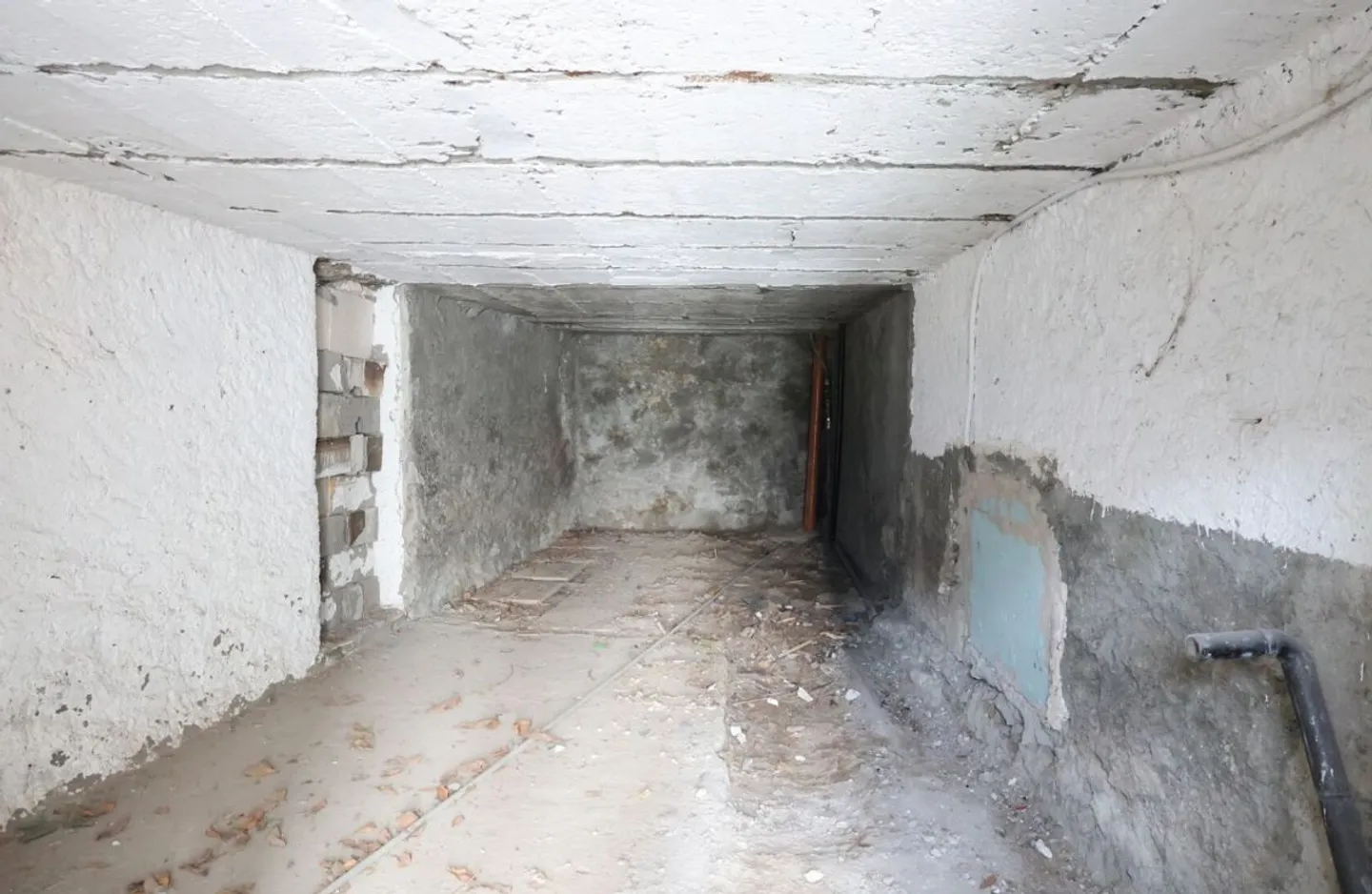 DORFHAUS MIT STALL, DER KOMPLETT UMGEBAUT WERDEN MUSS - Foto 9 von 10