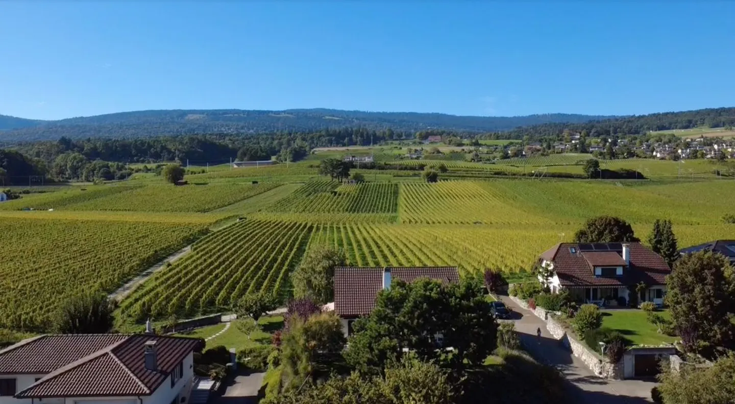 Villa indipendente, vista lago nel cuore dei vigneti - Foto 10 di 10