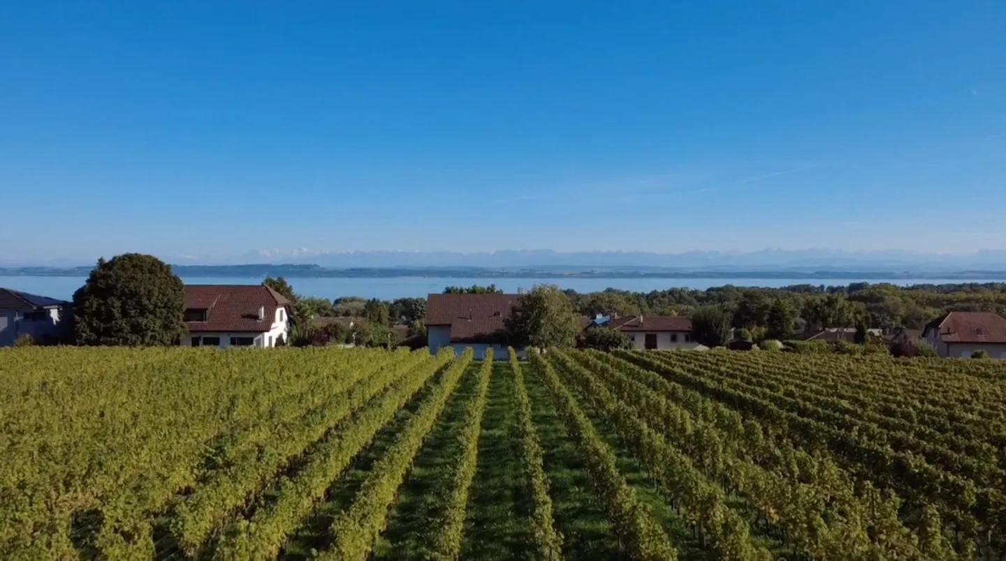 Villa indipendente, vista lago nel cuore dei vigneti - Foto 2 di 10