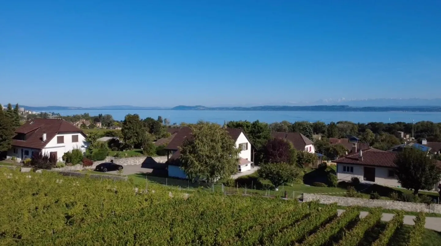 Villa indipendente, vista lago nel cuore dei vigneti - Foto 3 di 10