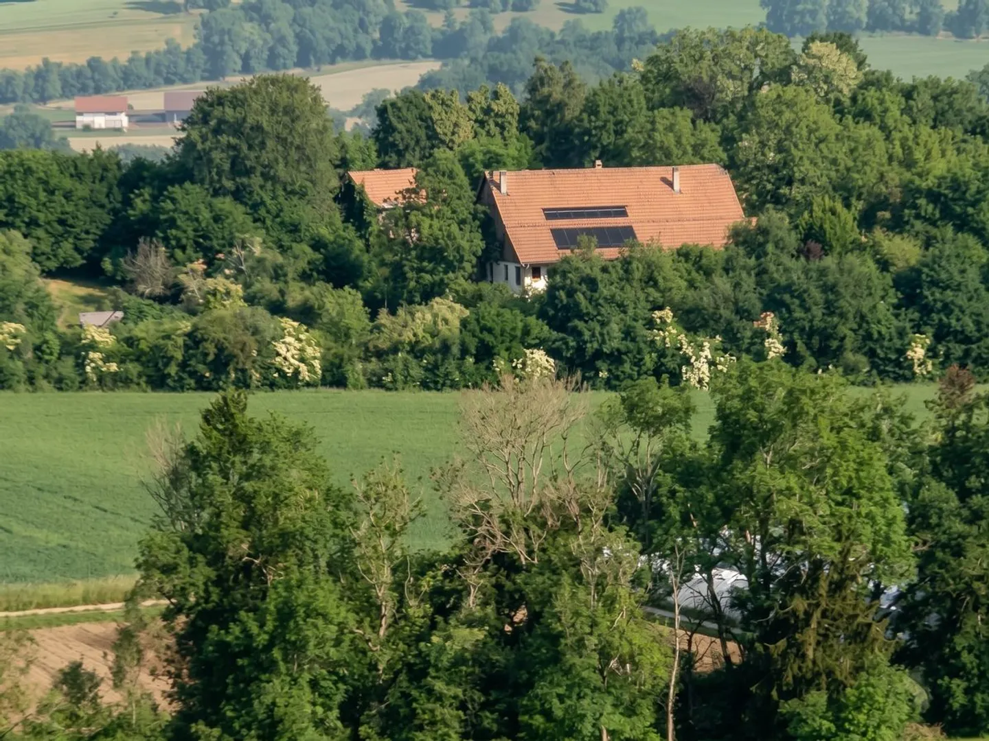 Appartamento in vendita con terreno privato di 2126m2: Un'oasi nel cuore della campagna friburghese - Foto 13 di 13