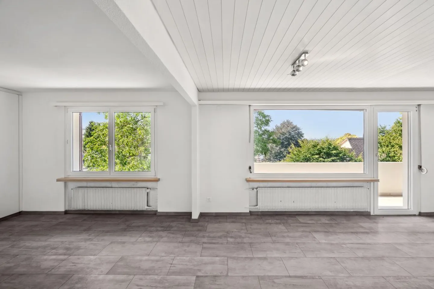 Single-family home with a separate apartment - Photo 7 of 13