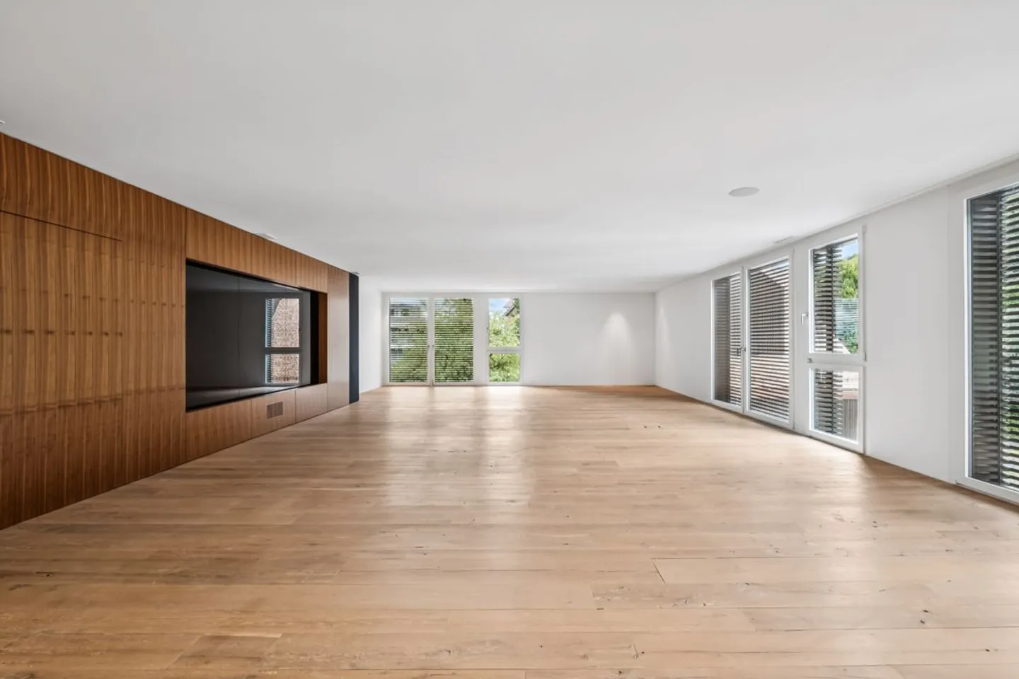 Ufficio a casa/Cinema a Bäch - Foto 3 di 10