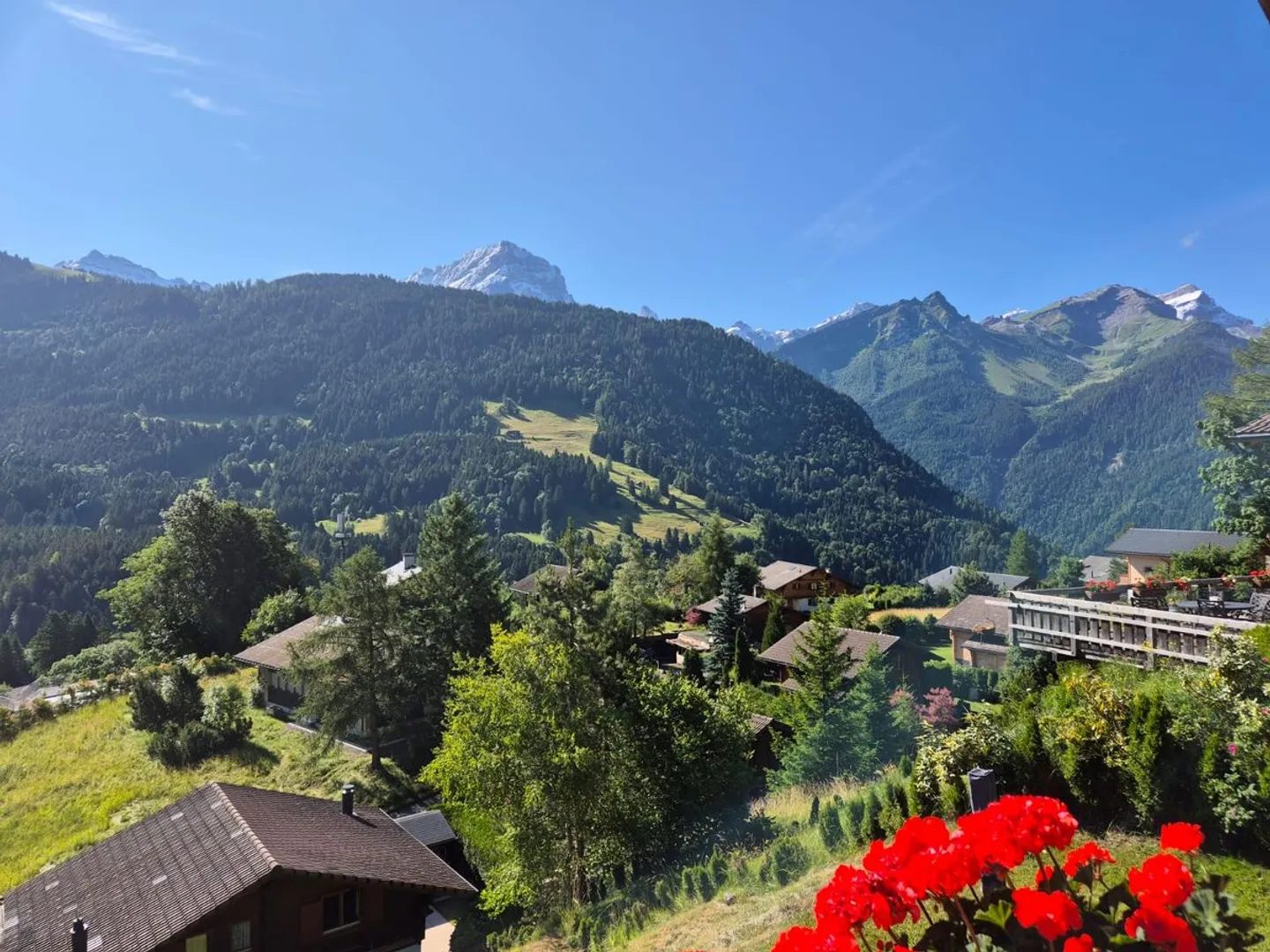 25 31 Chalet Le Tetras - Gryon - Foto 12 von 13