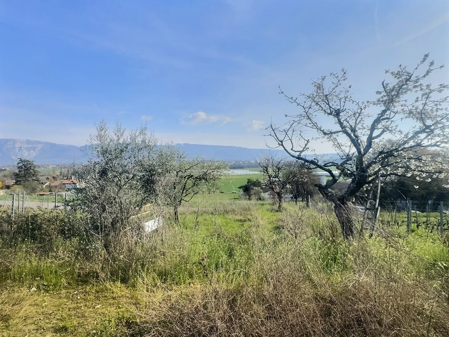 Kleines Haus in Bernex mit Panoramablick - Foto 2 von 10