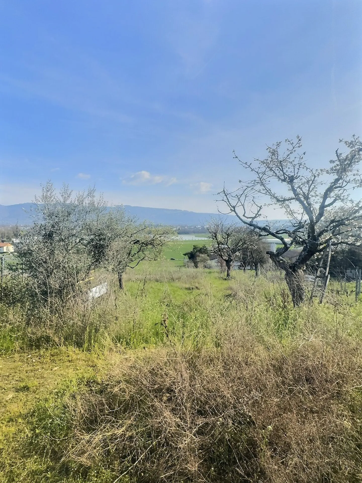 Kleines Haus in Bernex mit Panoramablick - Foto 4 von 10